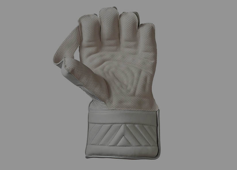 Wicket Keeping Gear