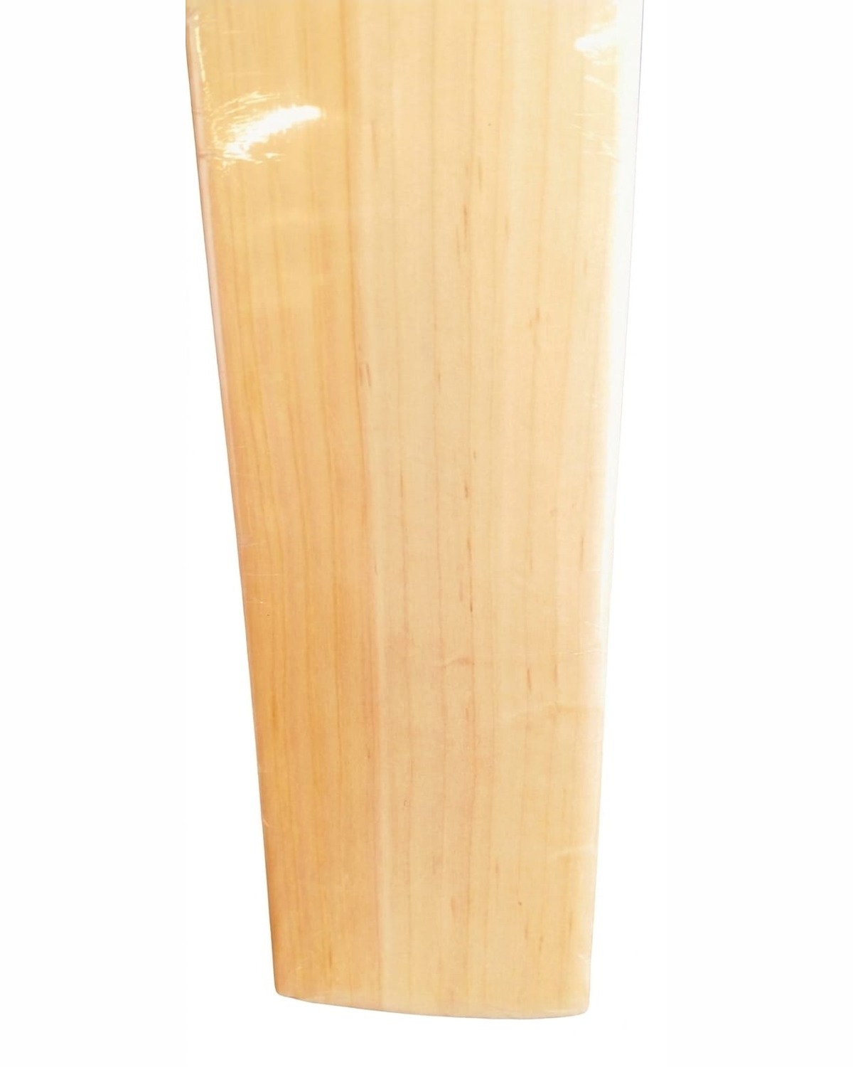 SW Bat - Image 3